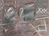 Yolanda Van Dyck, Off the Wall #1, 1979, pastel on paper