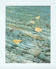 Ken Samuelson, Shallow Water #A/P #12/25, photolithographic reproduction on paper