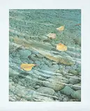 Ken Samuelson, Shallow Water #A/P #12/25, photolithographic reproduction on paper