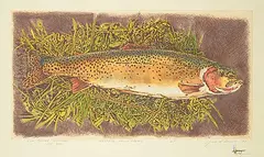 Jack Lee Cowin, High Coutry Cutthroat - [Wester Trout Series] #A.P., 1993, colour etching on paper