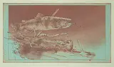 Jack Lee Cowin, Spring Creek Brown [Wester Trout Series] #A.P., 1989, colour etching on paper
