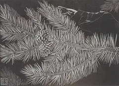 Henry Eric Bergman, Untitled - Pine Bough, wood block on paper