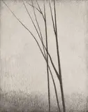 Robert Kipniss, Without World #Artist Proof, 2000, etching on paper