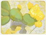 Prairie Cactus #36/50 by John Harold Thomas Snow, colour lithograph on paper, sold May 2015