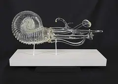 Tim Belliveau, Sea Creature, 2009, glass