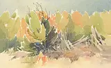 Luke Orton Lindoe, Untitled - Colourful Forest