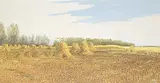 Joseph Ferenc Acs, Stooks [Northern Alberta near Flatbush]