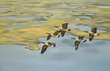 Norman Kelly, Over the Tundra, oil on canvas