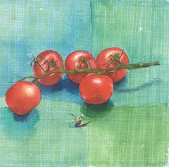 Angie Rees, Cherry Tomatoes, 1997, watercolour on paper