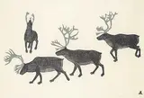 Solomon Karpik, Scent of the Approaching Hunter #22/50, 1983, stonecut on paper