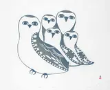 Pudlo Pudlat, Family of Owls #48/50