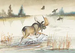 Edward Cobiness, Untitled - Bull Moose, 1976, watercolour on paper