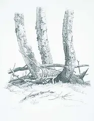 Ernest Friedrich Lindner, Birches #42/60, 1975, lithograph on paper