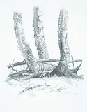 Ernest Friedrich Lindner, Birches #42/60, 1975, lithograph on paper
