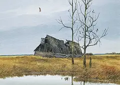 Allan Robert Thompson, Untitled - The Old Barn, 1977, acrylic on canvas board