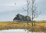 Allan Robert Thompson, Untitled - The Old Barn, 1977, acrylic on canvas board