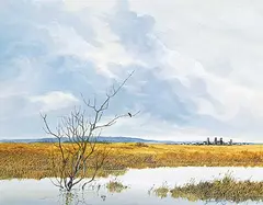 Allan Robert Thompson, Untitled - Clouds Over Prairie Slough, 1976, oil on canvas board