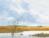Allan Robert Thompson, Untitled - Clouds Over Prairie Slough, 1976, oil on canvas board