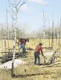 Allen Sapp, Cutting Trees Down, acrylic on canvas