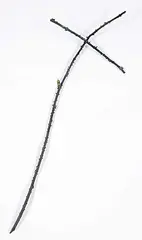 Peter von Tiesenhausen, Untitled - #7 [Thorn Cross], 1998, bronze sculpture