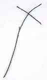 Peter von Tiesenhausen, Untitled - #7 [Thorn Cross], 1998, bronze sculpture