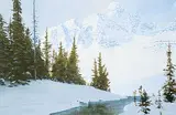 Ted Raftery, Early Morning, Bow Peak