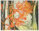 Ed Bartram, Lichen Channel Rock, Canadian Shield Series #AP, colour etching on paper