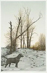 Daniel Price Erickson Brown, Untitled - Black Lab in Winter #24/80, 1984, colour silkscreen on paper