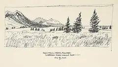 Chris Stoffel Overvoorde, Mountains, Trees, Flowers; Waterton Park looking North, 2006, ink on paper