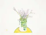 William Griffith Roberts, Davidson's Penstemon, 1978, watercolour and graphite on paper