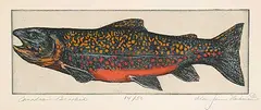 Alan James Robinson, Canadian Brookie #14/50, hand coloured etching on paper