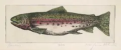 Alan James Robinson, Rainbow Trout #7/50, hand coloured etching on paper