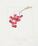 Robert William Sinclair, Single Drop, Snow Mountain Ash Berries, 2012, watercolour on paper