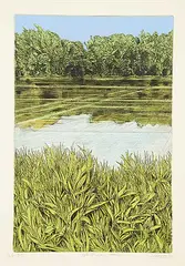Gerald Zeldin, After the Rain/Three #AP3/5, 1980, colour etching on paper