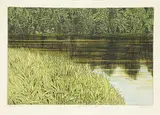 Gerald Zeldin, After the Rain/Two #AP3/5, 1980, colour etching on paper