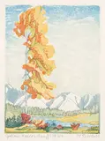 Margaret Shelton, Yellow Poplar, Banff #179/200