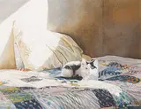 Britton Michael Francis, Patchwork, watercolour on paper