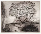 Gram Glover's Tree on Bragg's Island #14/75 by David Blackwood, 1999, etching on paper, sold May 2014