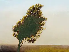 Robert Marchessault, The Marsh Tree, 2008, oil on canvas