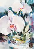 Brent Heighton, Untitled - Spring Bloom, watercolour on paper