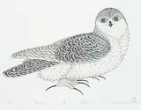 Kananginak Pootoogook, Oopik #25/50, 1977, colour lithograph on paper