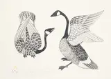Kananginak Pootoogook, Canada Geese Mating #28/40