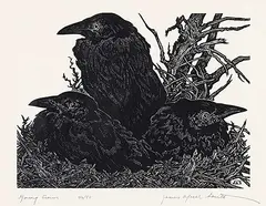 James Agrell Smith, Young Crows #46/50, wood block on paper