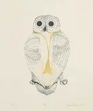 Kananginak Pootoogook, Owl #48/50