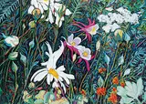 Lory Lemco, Daisy and Columbine, pastel on paper