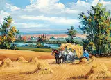 Georgia Jarvis, My Saskatchewan Harvest