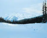 Ted Raftery, Logging Road in Winter
