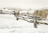 Allen Sapp, My Grandfather's House