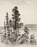 Caroline Armington, Evergreens at Porjus, Sweden, 1928, etching on paper