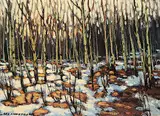 Matt Lindstrom, Untitled - Winter Thaw
